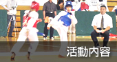 活動内容