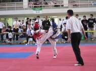 第21回福岡県テコンドー選手権大会